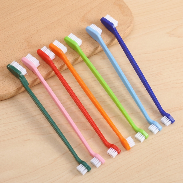 Double Head Pet Toothbrush for Dog & Cat